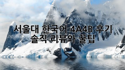 서울대 한국어 4A4B 후기: 솔직 리뷰와 꿀팁!
